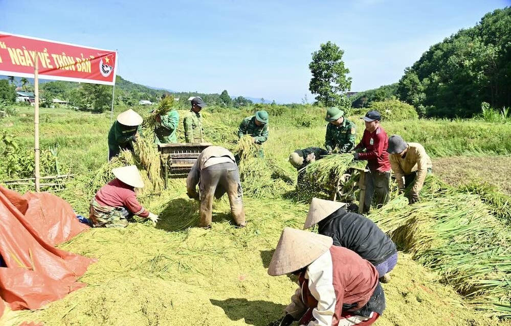 Rộn ràng mùa gặt nơi biên cương