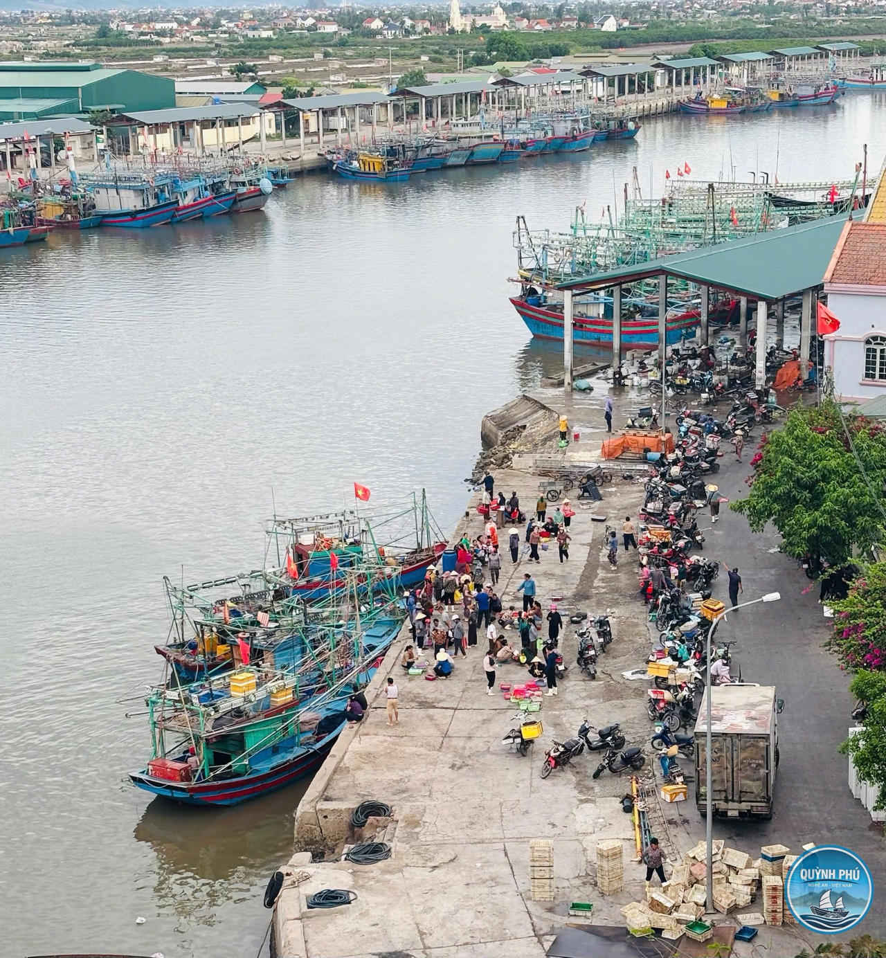 Nghệ An không có tàu cá vi phạm khai thác hải sản trái phép ở vùng biển nước ngoài