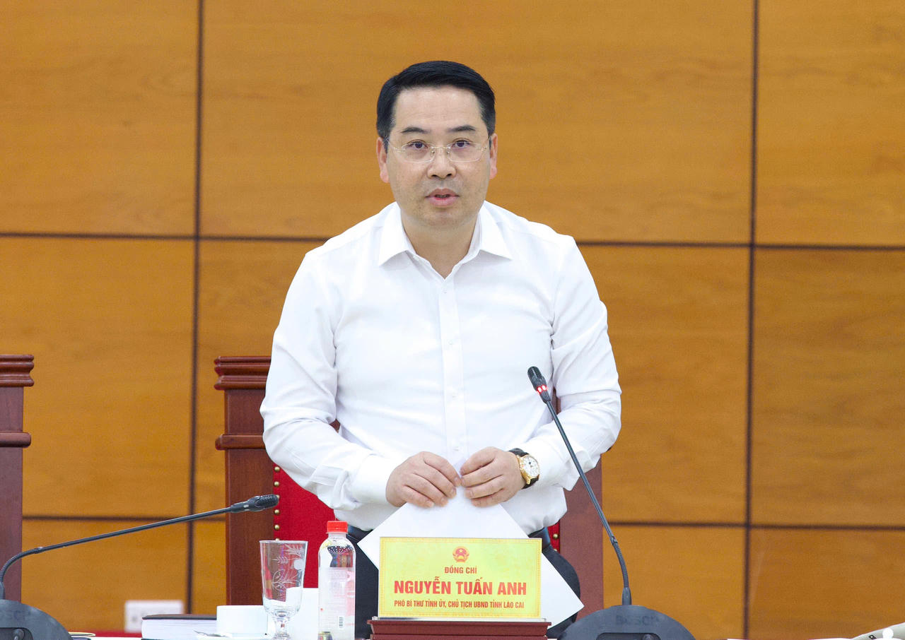 Ông Nguyễn Tuấn Anh phát biểu tại Hội nghị.