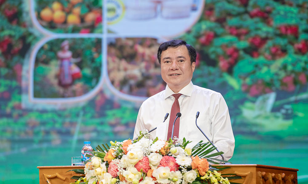 Ông Nguyễn Sinh Nhật Tân, Thứ trưởng Bộ Công Thương phát biểu tại hội nghị.