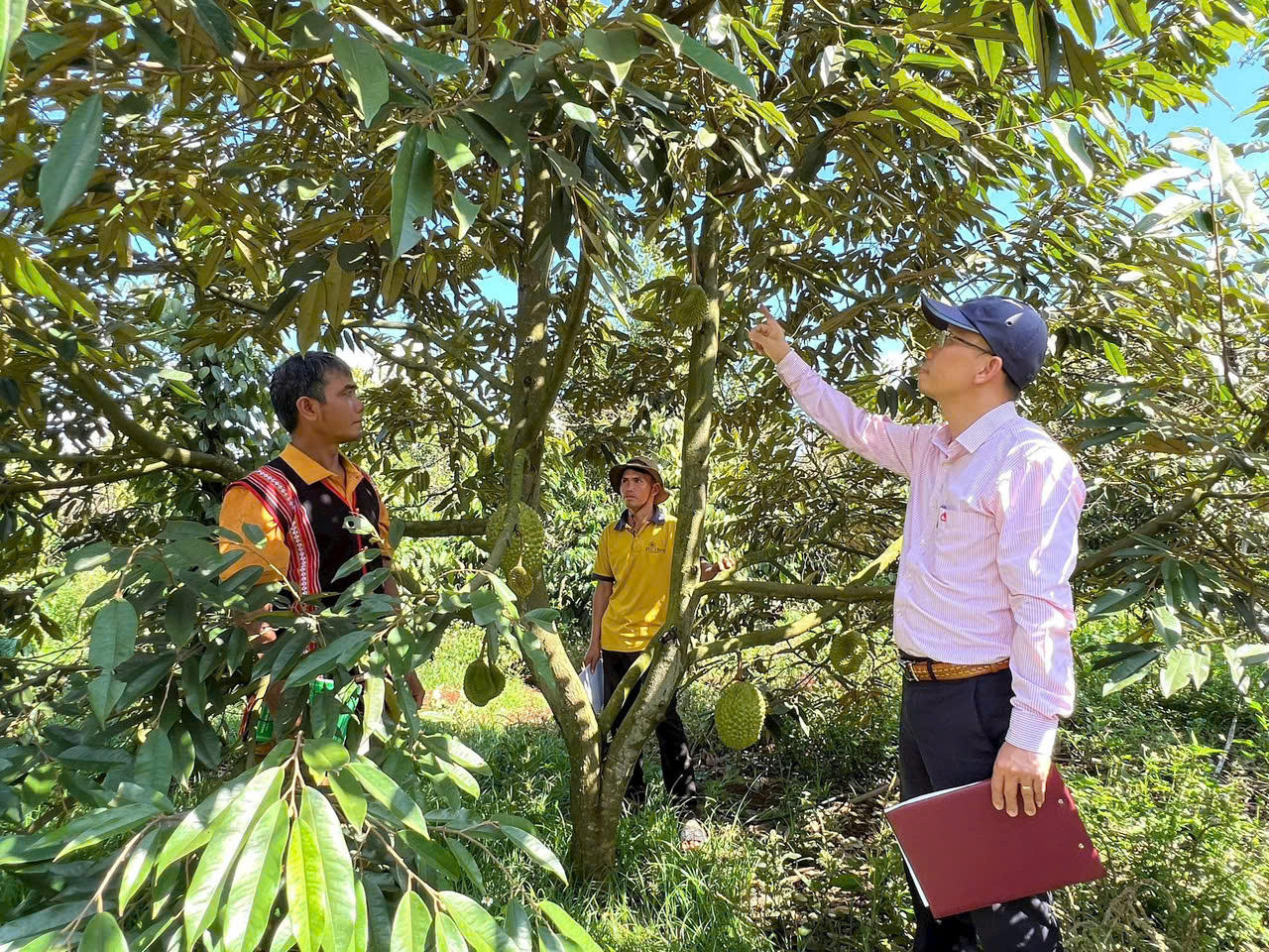 Đồng lòng vì mục tiêu giảm nghèo bền vững ở các xã mới Chư Sê (Gia Lai)