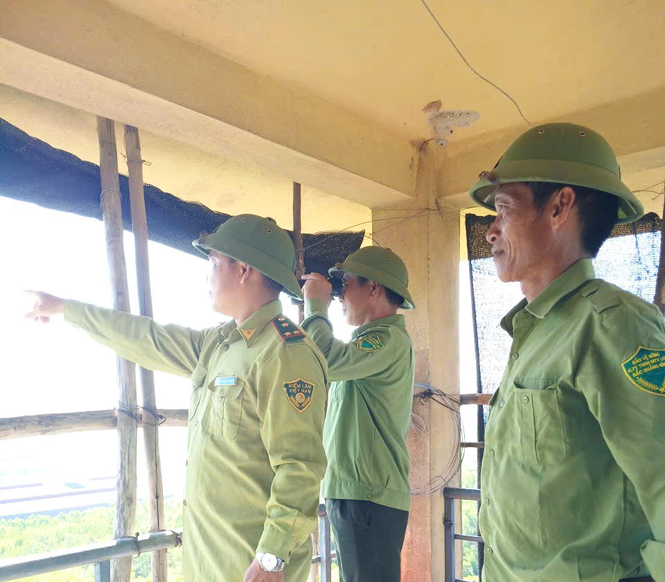 Canh lửa giữ rừng giữa chảo lửa miền Trung