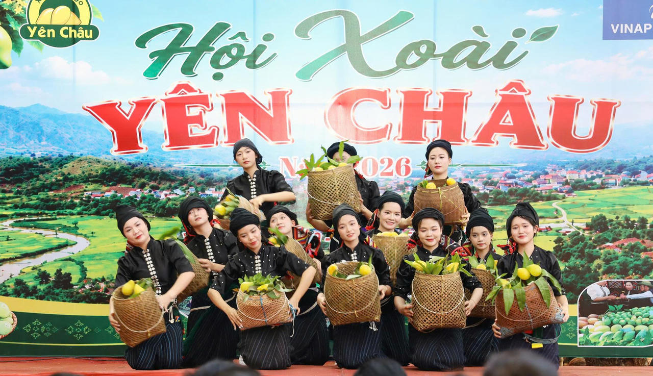 Hội xoài Yên Châu tôn vinh người trồng xoài