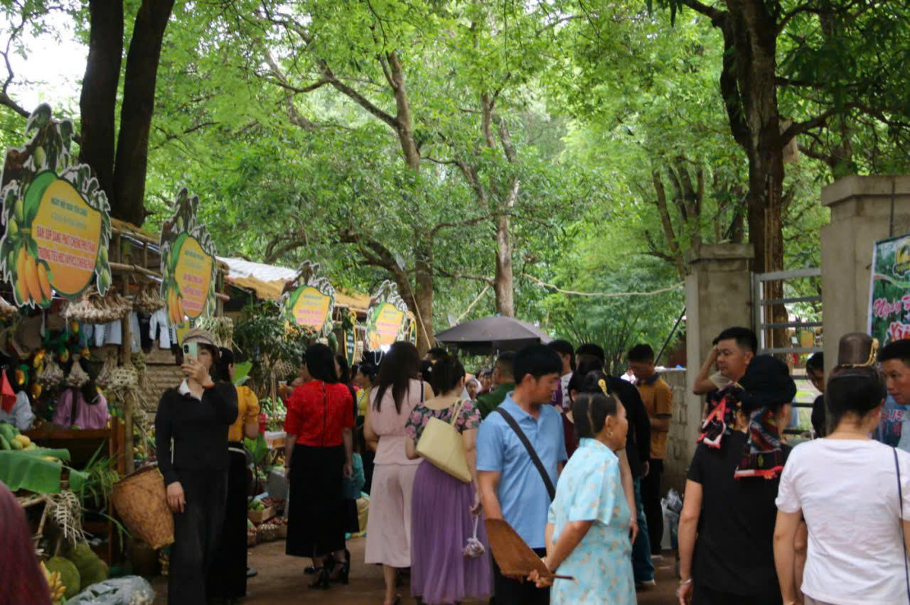 Người dân và du khách trải nghiệm tại các gian hàng trưng bày xoài.