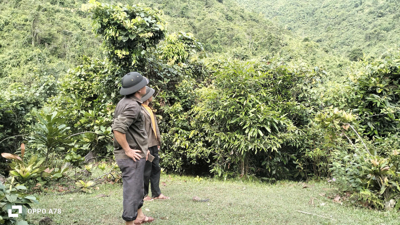 Canh lửa giữ rừng giữa chảo lửa miền Trung