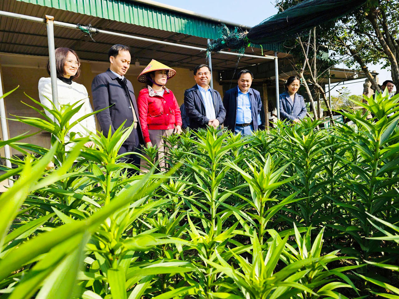 Một năm thực hiện mô hình chính quyền hai cấp ở Vinh Hưng: Trái ngọt từ sự đồng thuận