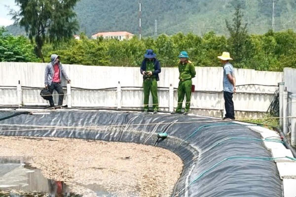 Tôm trong hồ một hộ dân ở Quảng Trị chết trắng, nghi bị phá hoại