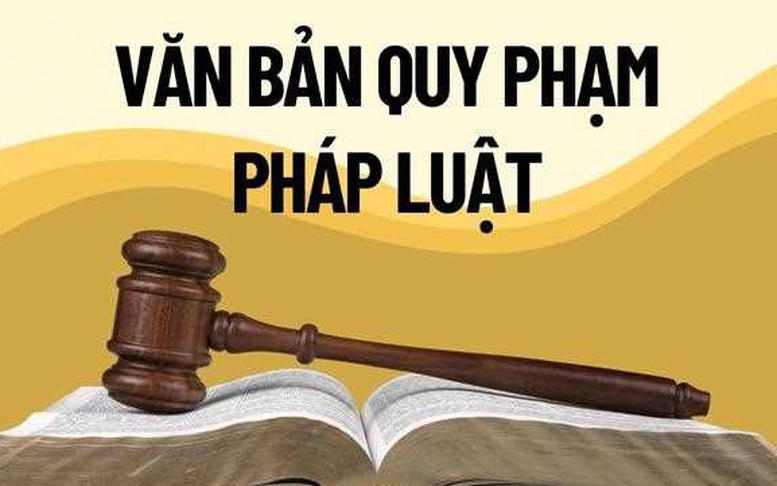 Phó Thủ tướng yêu cầu tổng hợp vướng mắc chính sách trước ngày 5/6