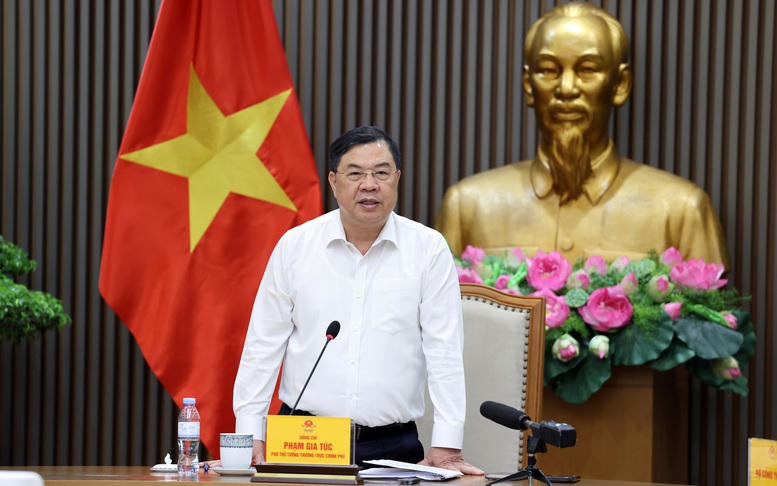 Phó Thủ tướng Thường trực Phạm Gia Túc yêu cầu bảo đảm nguồn cung, chất lượng và quyền lợi người tiêu dùng khi chuyển đổi sang xăng E10- Ảnh 4.