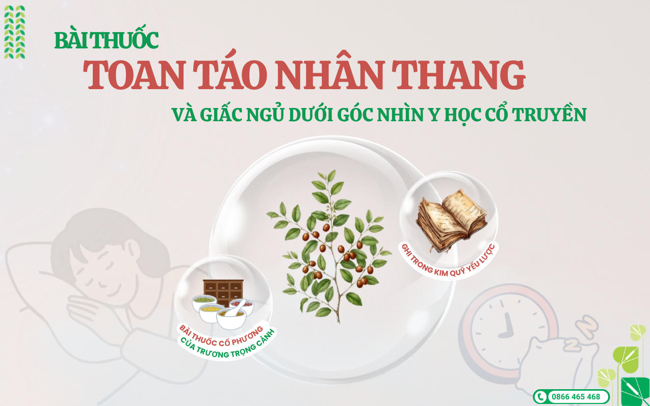 Thuốc an thần Abipha: Kế thừa bài thuốc cổ phương Toan Táo Nhân Thang giúp dưỡng huyết an thần, thanh hư nhiệt trừ phiền