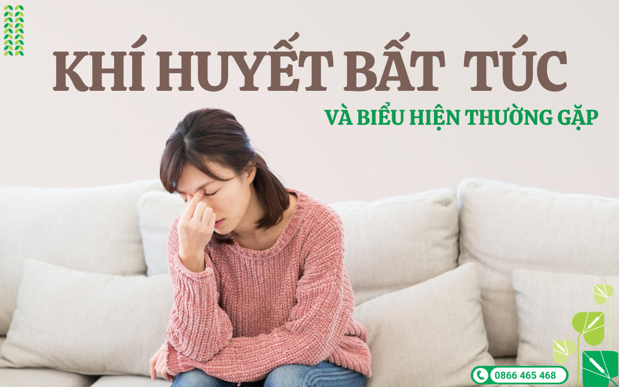 Thập Toàn Đại Bổ Abipha: Ôn bổ khí huyết từ bài thuốc y học cổ truyền