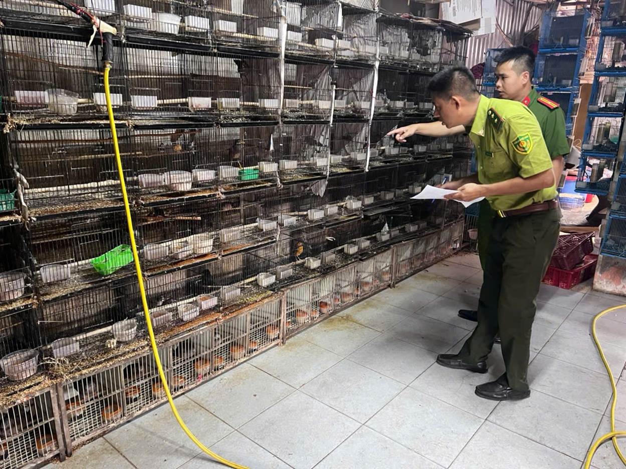 Hà Nội phát hiện hơn 250 cá thể động vật hoang dã bị nuôi nhốt trái phép
