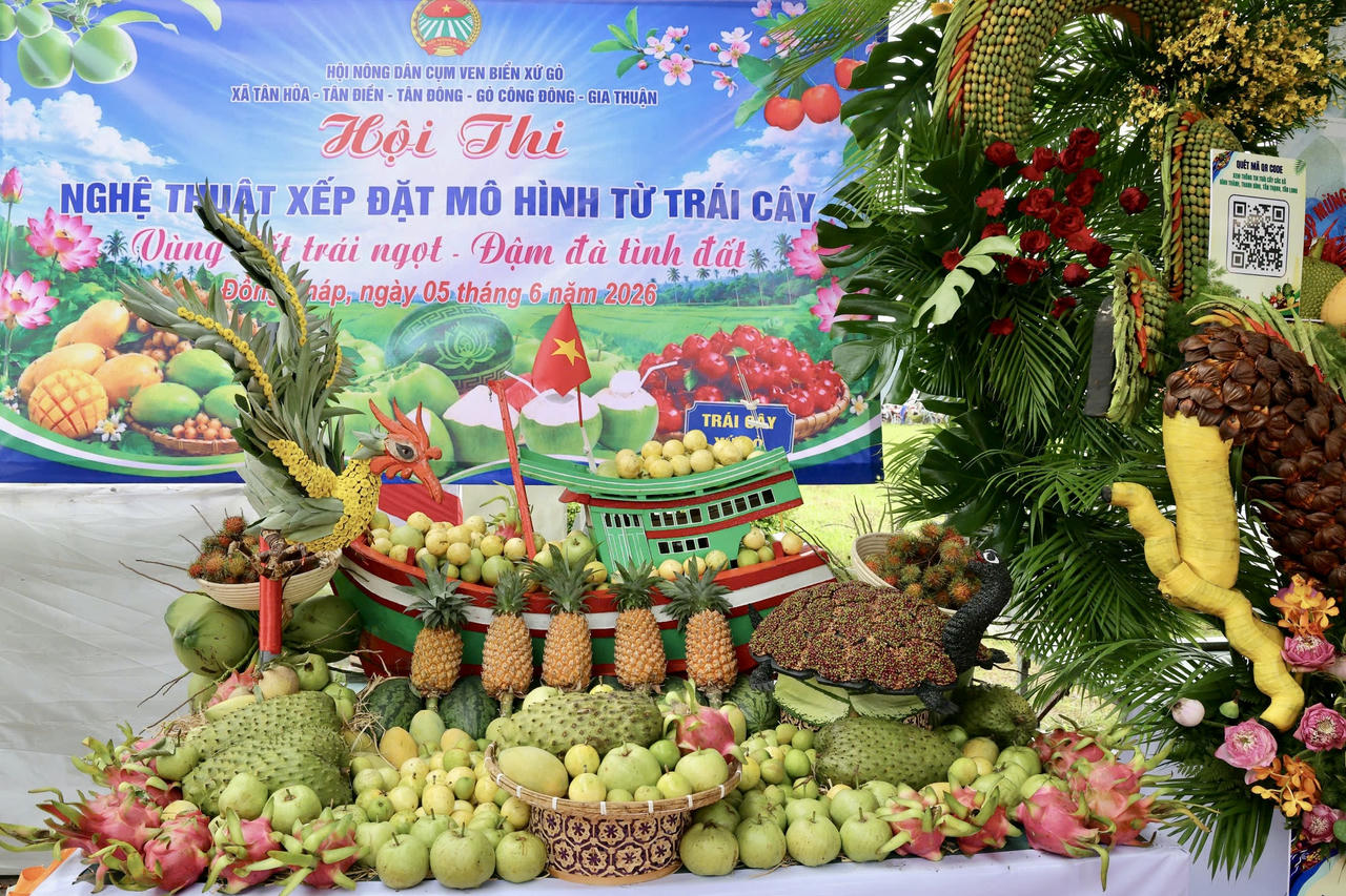 Lễ hội Trái cây Đồng Tháp lần thứ I năm 2026 gồm 9 hoạt động chính và 12 hoạt động hưởng ứng