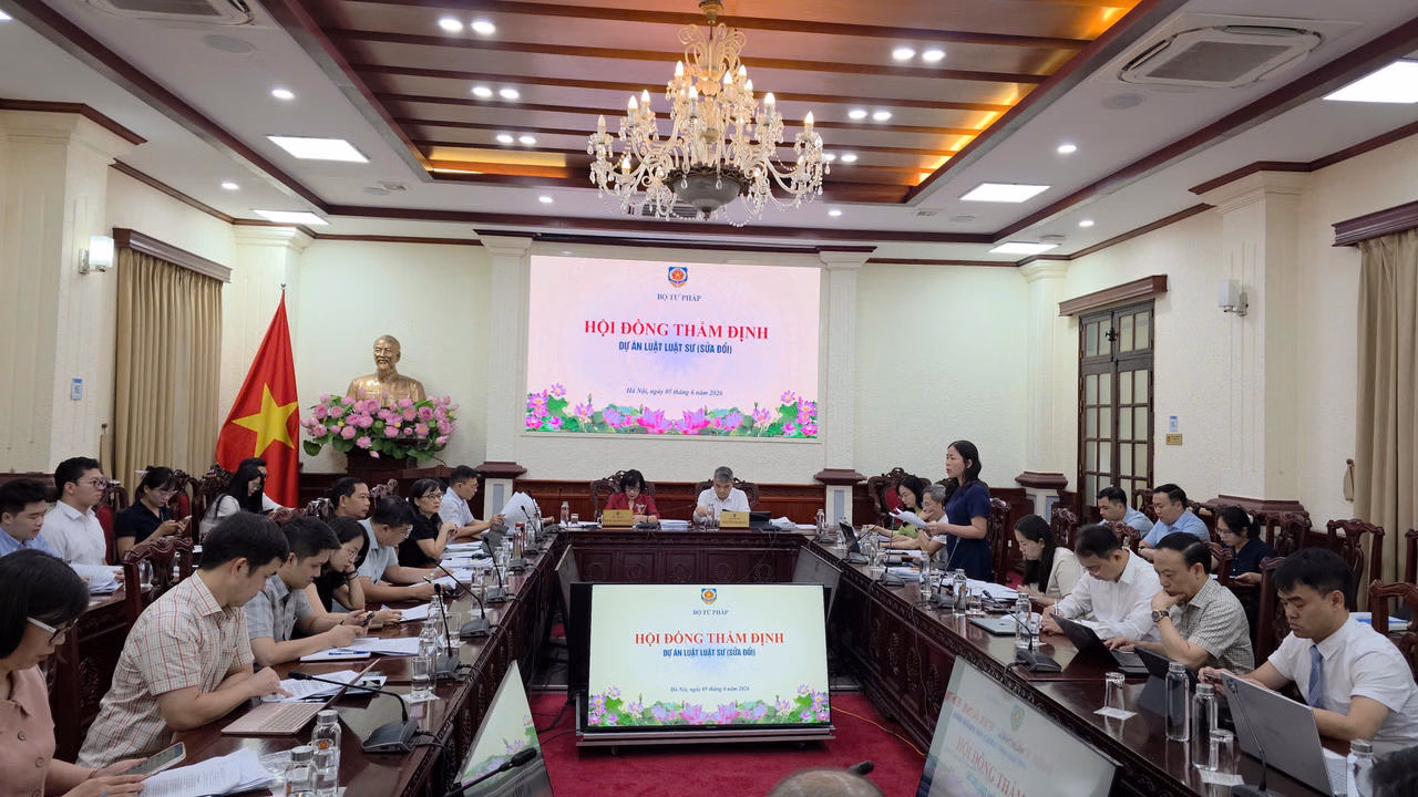 Ảnh đại diện làm rõ cơ sở pháp lý để luật sư tập sự tham gia tố tụng