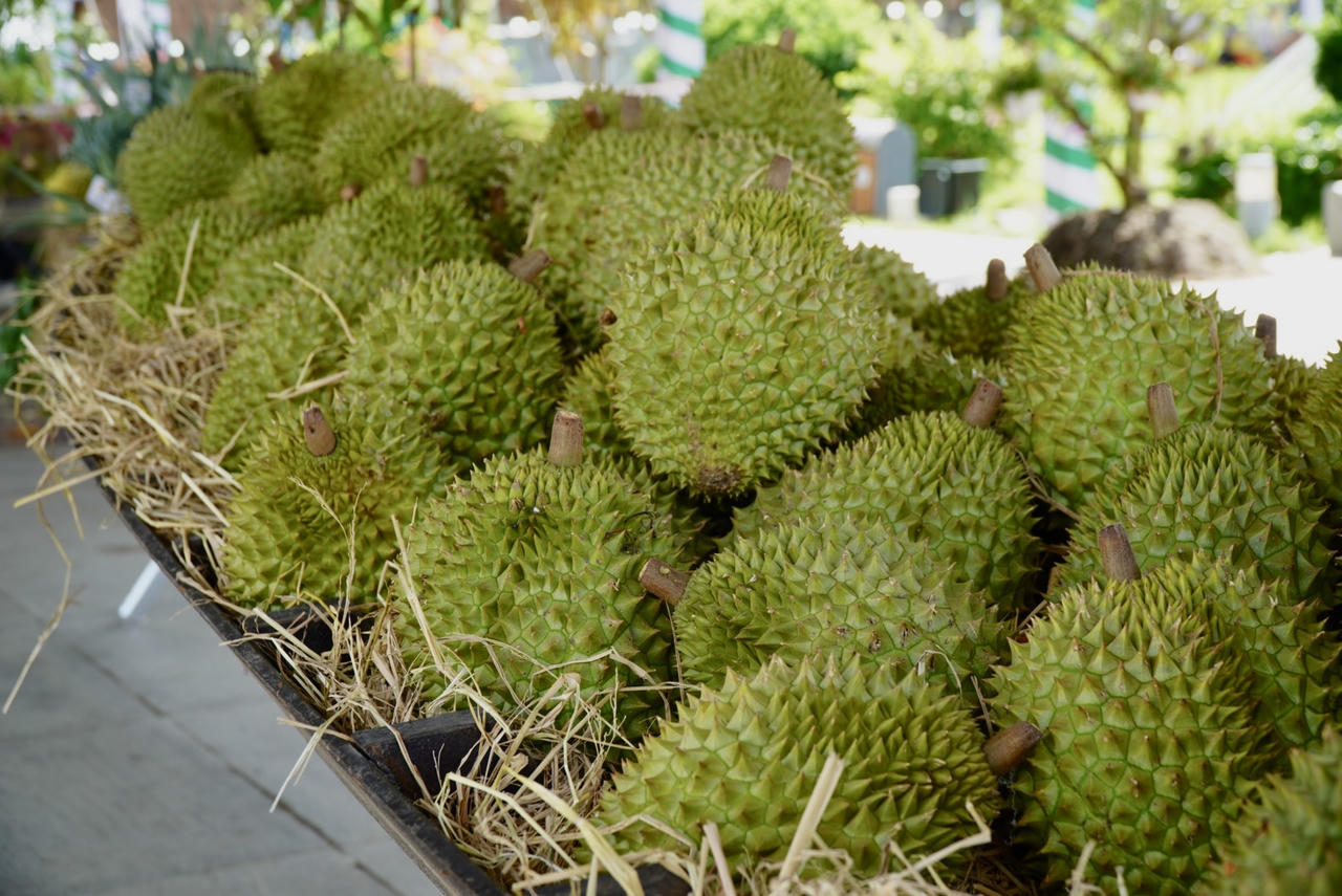 Đặc sắc tiểu cảnh hoa quả vùng miền tại Lễ hội Trái cây Đồng Tháp lần thứ I
