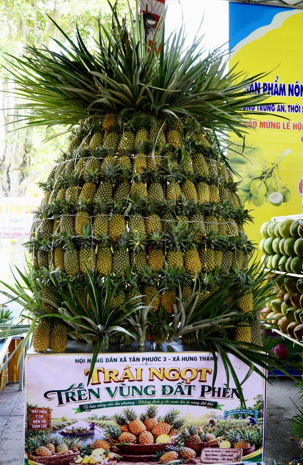 Đặc sắc tiểu cảnh hoa quả vùng miền tại Lễ hội Trái cây Đồng Tháp lần thứ I
