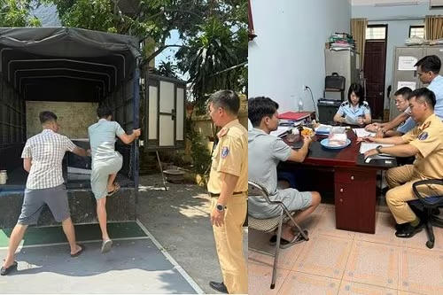 Phạt 90 triệu đồng, tiêu hủy gần 1 tấn thịt bò đông lạnh không rõ nguồn gốc