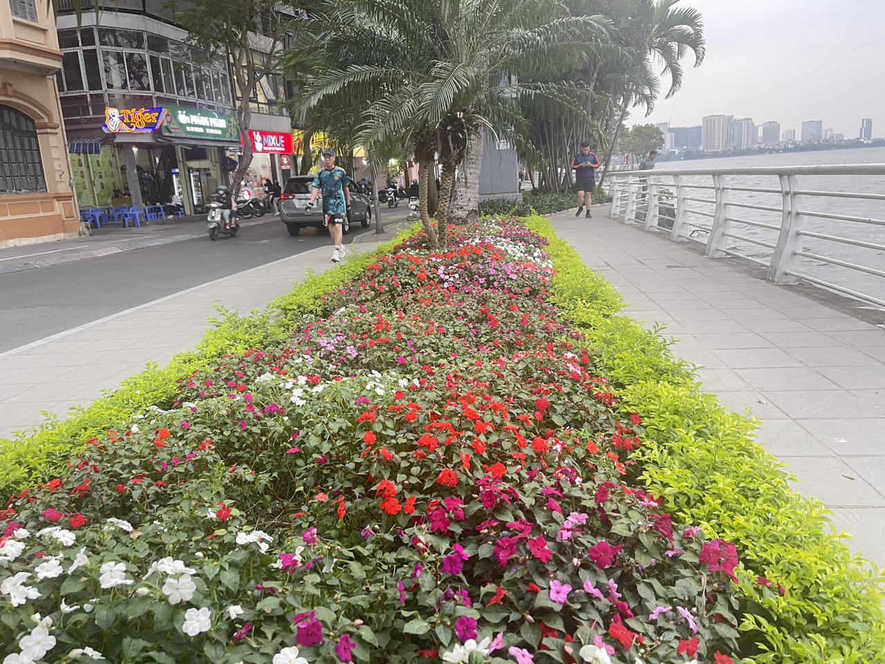 Việc chăm sóc, giữ gìn cây xanh, cảnh quan đô thị góp phần xây dựng hình ảnh phường Tây Hồ sáng – xanh – sạch – đẹp.