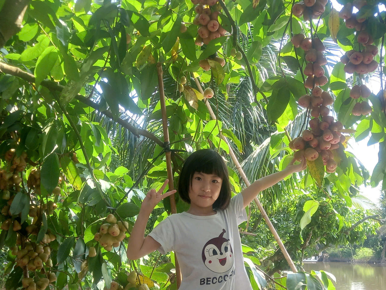 Trải nghiệm 'miền Tây thu nhỏ' giữa lòng Hải Phòng