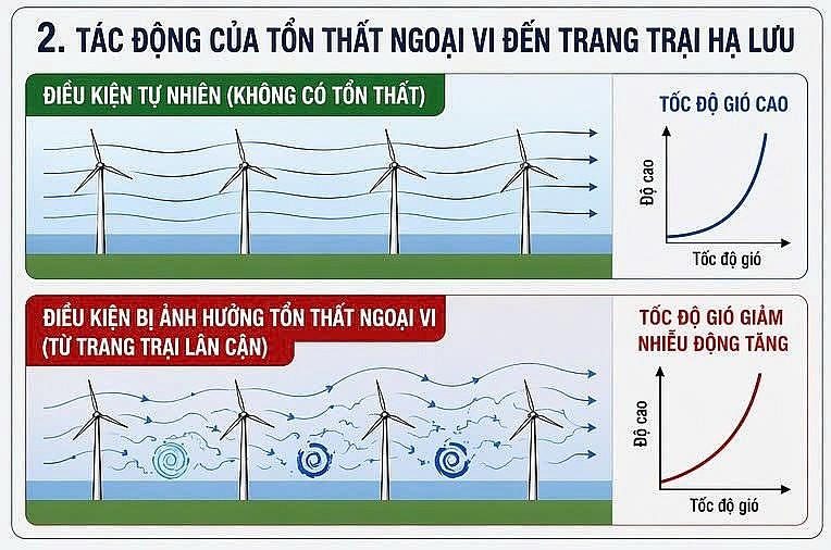 Hình 2: Tác động tổn thất ngoại biên.