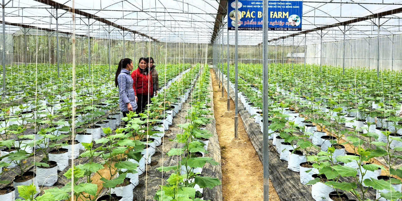 Giữ mạch vốn giảm nghèo trên vùng non nước Cao Bằng