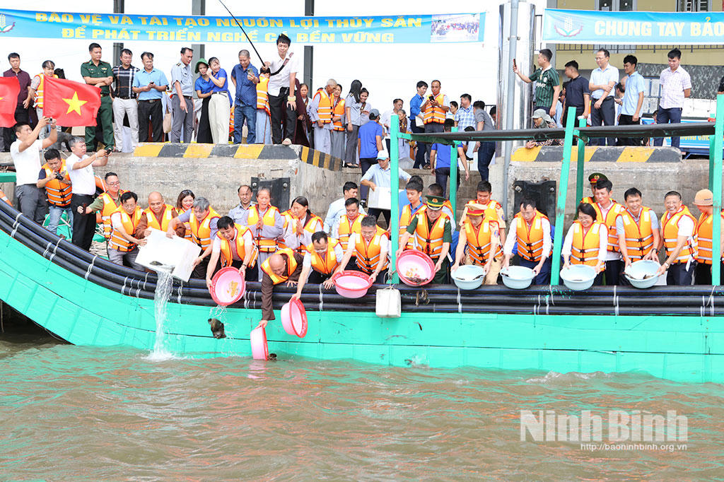 Ninh Bình thả hơn 1 triệu con giống tái tạo nguồn lợi thủy sản