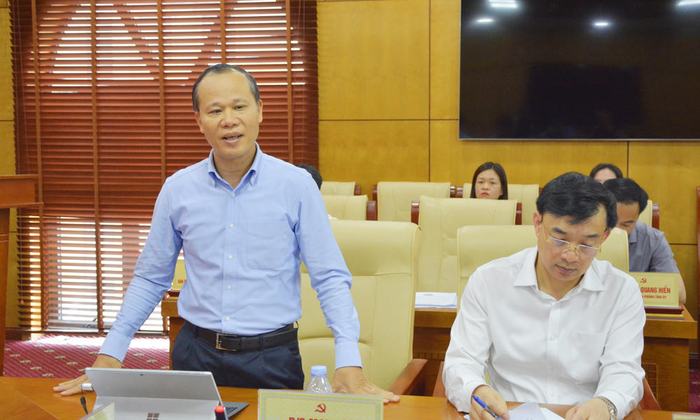 Ông&nbsp;Mai Sơn, Phó Chủ tịch Thường trực UBND tỉnh phát biểu tại buổi làm việc.