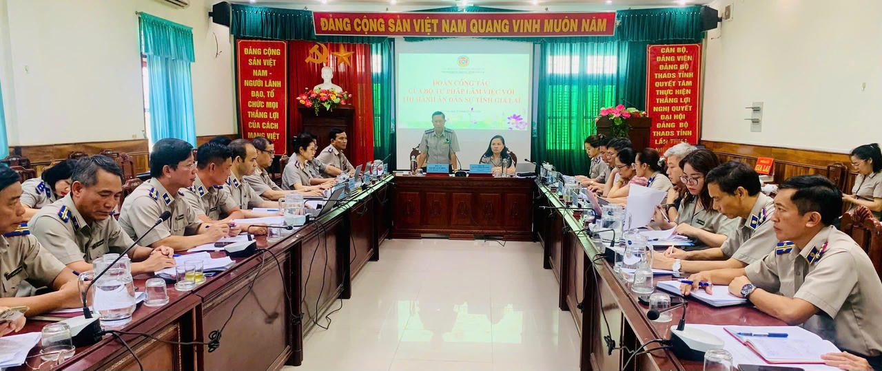 THADS tỉnh Gia Lai: Tiếp tục củng cố tổ chức, giữ vững kỷ cương, bứt phá kết quả, lập thành tích chào mừng 80 năm Ngày truyền thống THADS
