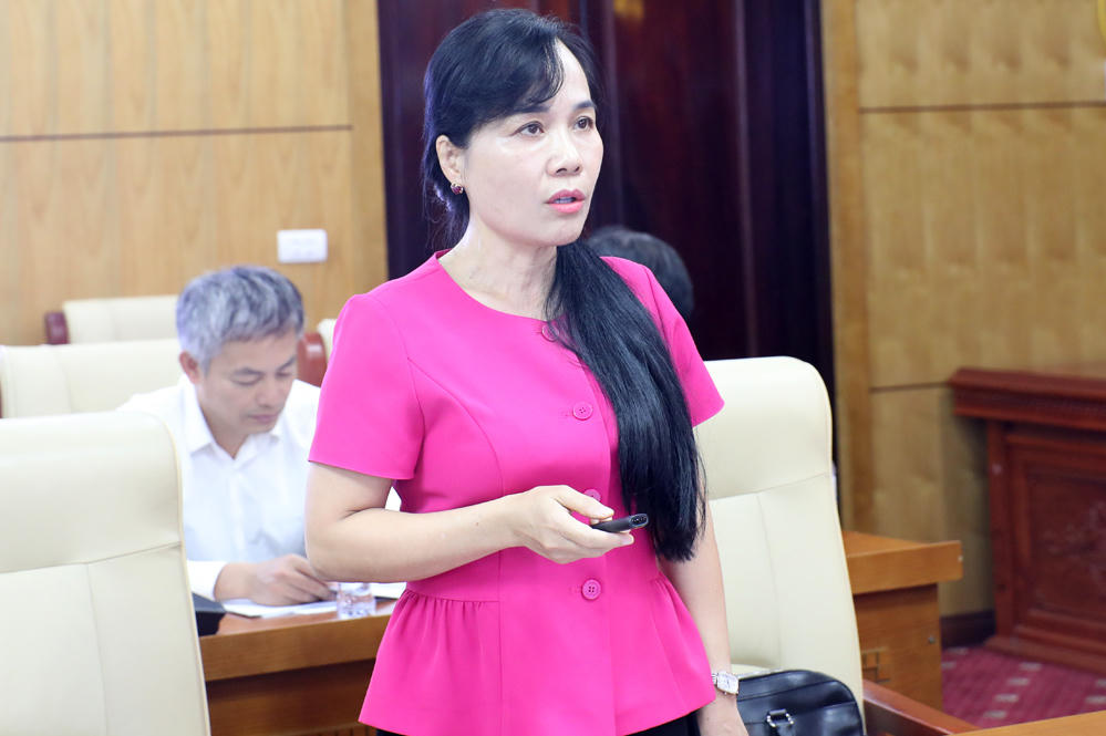 Bà Tô Thị Mai Hoa, Giám đốc Sở Y tế trình bày báo cáo tại buổi làm việc.
