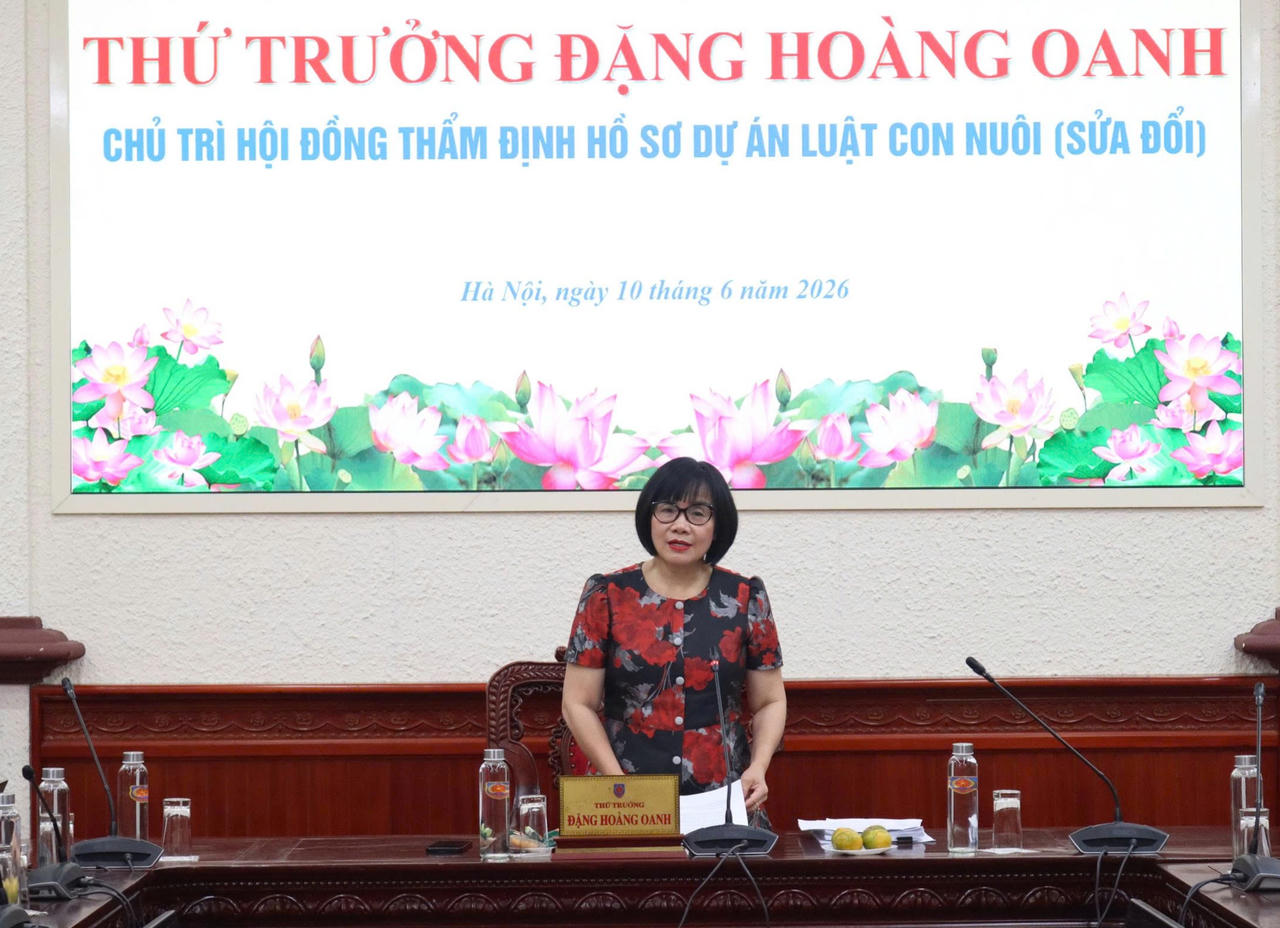 Thứ trưởng Bộ Tư pháp Đặng Hoàng Oanh phát biểu.