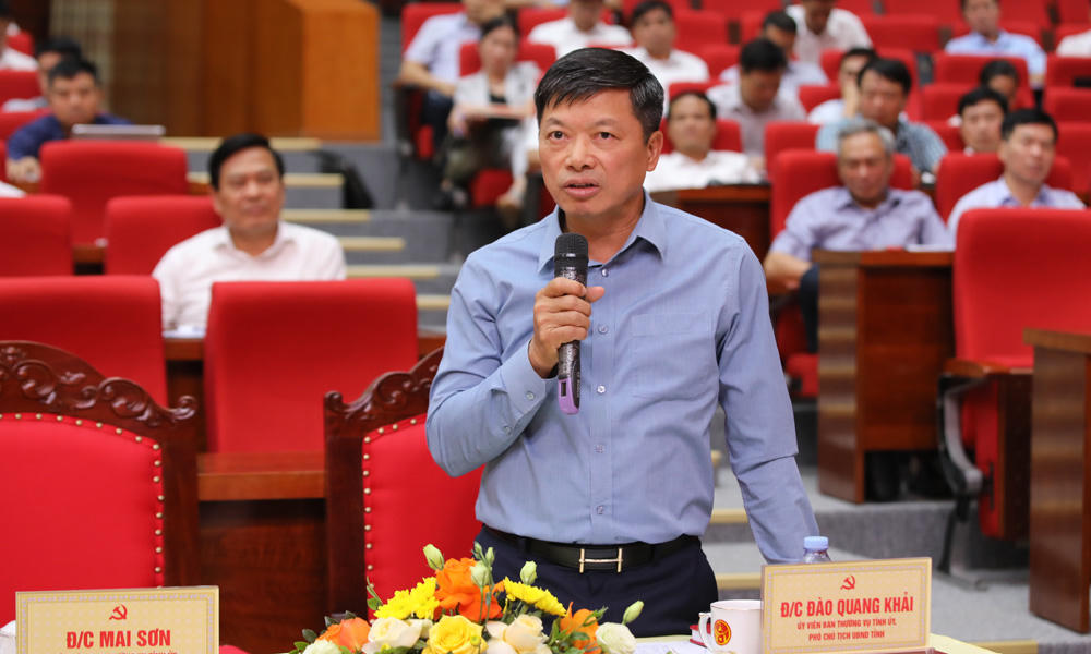 Phó Chủ tịch UBND tỉnh Đào Quang Khải phát biểu tại hội nghị.