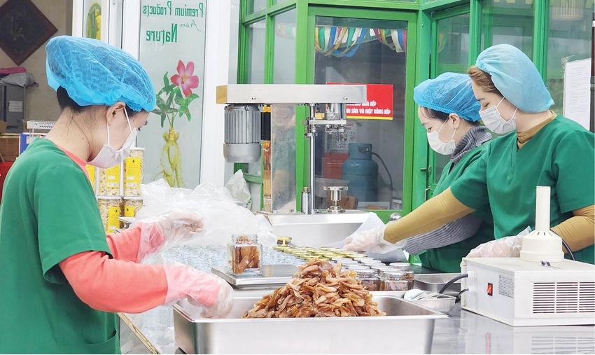 Việc đổi mới toàn diện hoạt động này được xem là giải pháp quan trọng giúp doanh nghiệp phát triển bền vững, nâng cao năng lực cạnh tranh và hội nhập sâu rộng&nbsp;