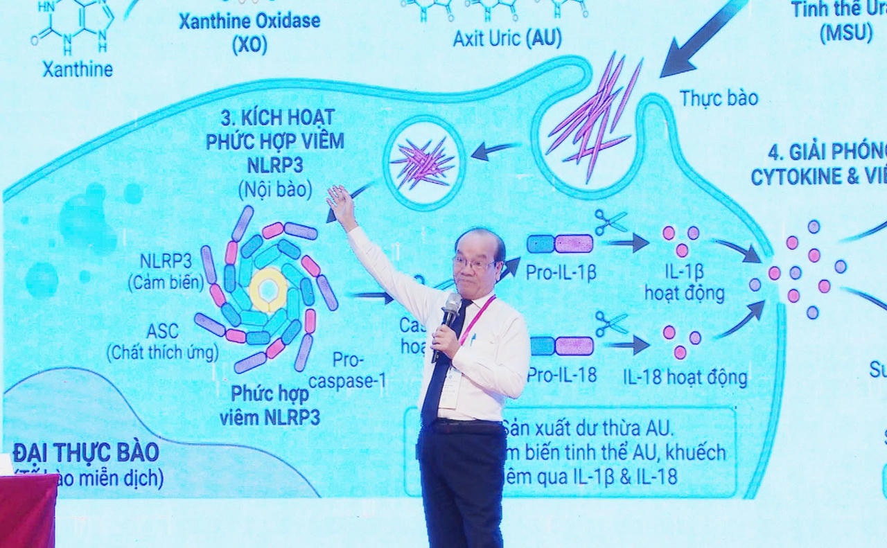 Hàng trăm chuyên gia dự Hội nghị khoa học Thấp khớp học miền Trung mở rộng 2026 tại Nghệ An