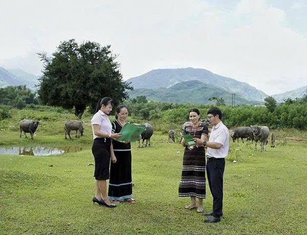 Lãnh đạo và cán bộ NHCSXH tỉnh Quảng Ngãi tận tình giúp dân sử dụng vốn vay phát triển kinh tế.