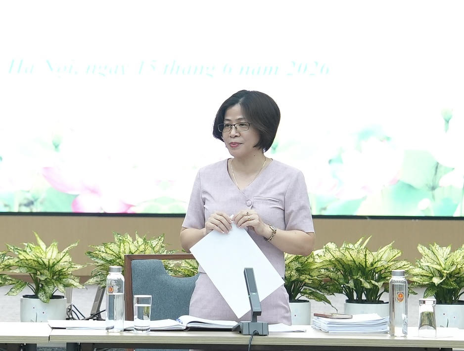 Phó Cục trưởng Cục Pháp luật hình sự - hành chính và Quản lý xử lý vi phạm hành chính Bùi Thị Nam phát biểu kết luận.
