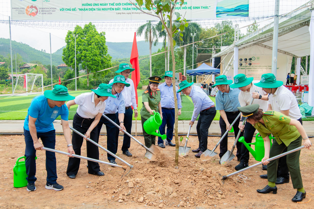 Hoạt động trồng cây được triển khai tại khu vực đồi bãi thực hành của Trường Cao đẳng Công nghệ và Nông lâm Đông Bắc. Ảnh: C.P. Việt Nam
