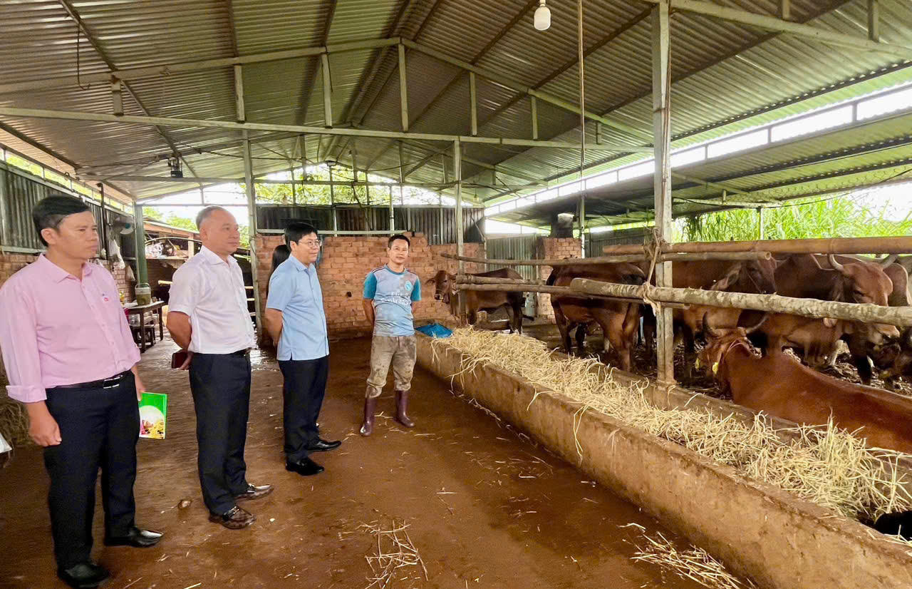 Lãnh đạo và cán bộ tín dụng NHCSXH Lâm Đồng luôn có mặt ở cơ sở để bàn bạc, hướng dẫn hộ nghèo, gia đình đồng bào DTTS sử dụng vốn chính sách đúng mục đích phát triển sản xuất, cải thiện cuộc sống.