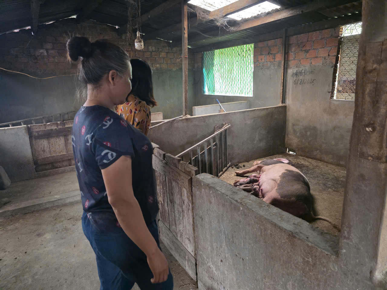 Những tấm gương vượt khó lan tỏa khát vọng vươn lên ở Đăk Pék