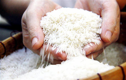 Tăng chất lượng và giá trị hạt gạo Việt Nam