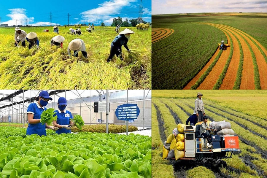 Nỗ lực trong cải cách thủ tục hành chính lĩnh vực nông nghiệp và môi trường
