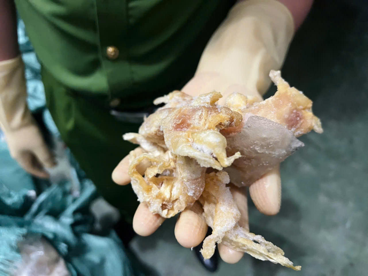Hà Nội: Khởi tố vụ án buôn lậu chân gà “siêu khủng” tiêu thụ trong nước