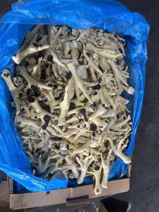 Một lượng lớn chân gà nhập lậu đã được tuồn ra thị trường tiêu thụ. (Ảnh: CACC).