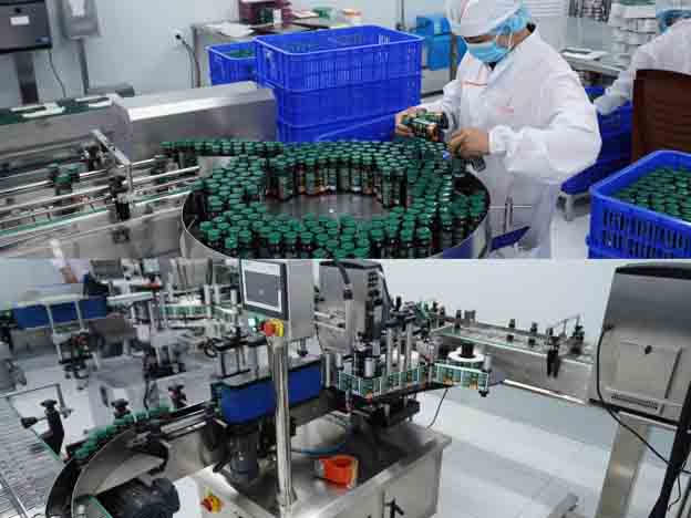 Hoạt động sản xuất tại nhà máy Lavite được thực hiện theo quy trình kiểm soát chất lượng nghiêm ngặt.