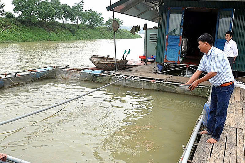 Tín dụng chính sách tạo “cú hích” đưa vùng địa linh Ninh Bình vươn mình