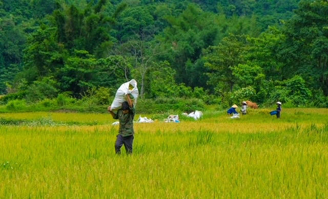 Hội Nông dân xã Hướng Lập phát huy vai trò 'điểm tựa' của nông dân vùng biên