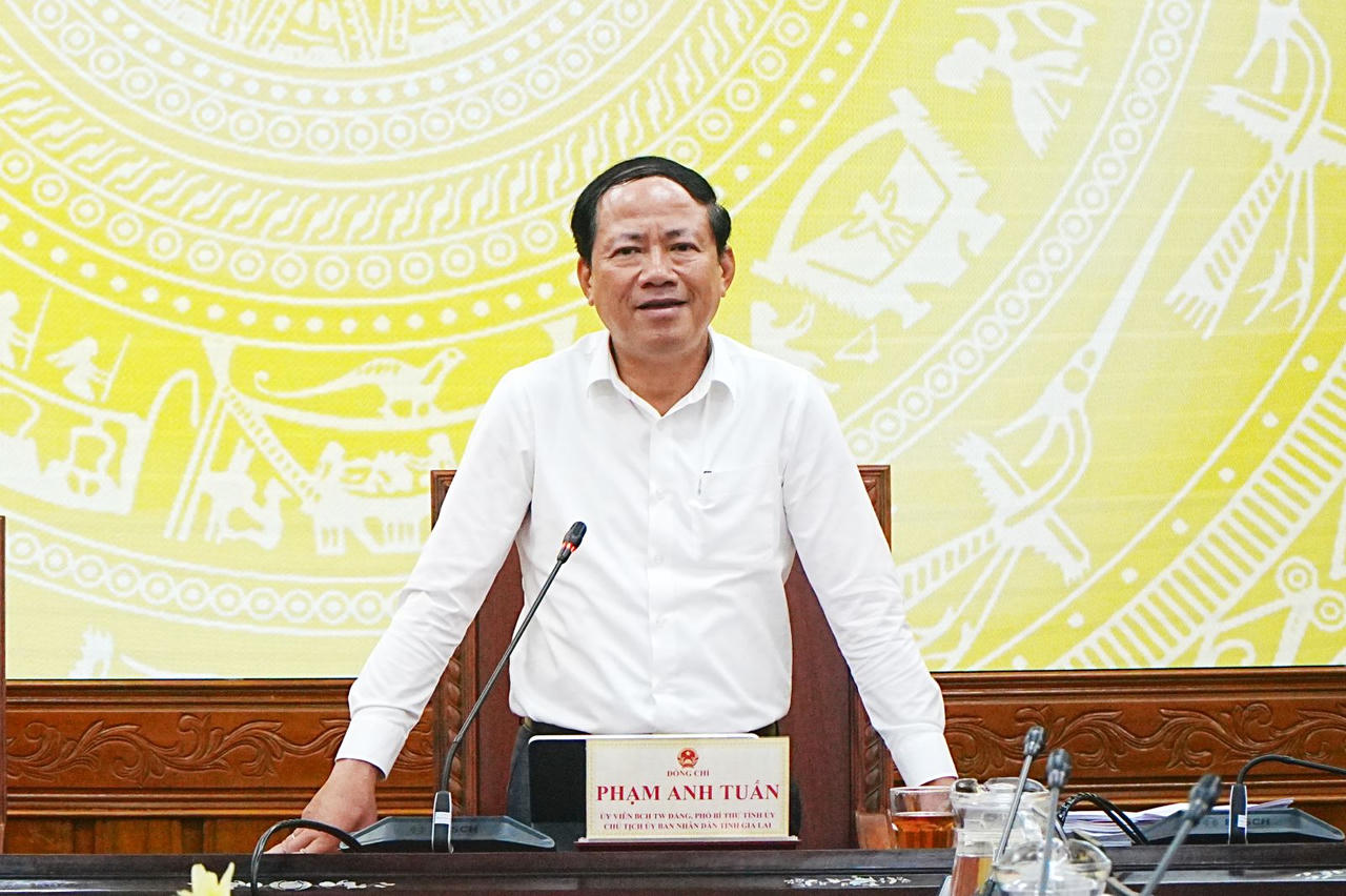 Ông Phạm Anh Tuấn - Chủ tịch UBND tỉnh Gia Lai phát biểu tại buổi làm việc. (Ảnh: Kim Loan)