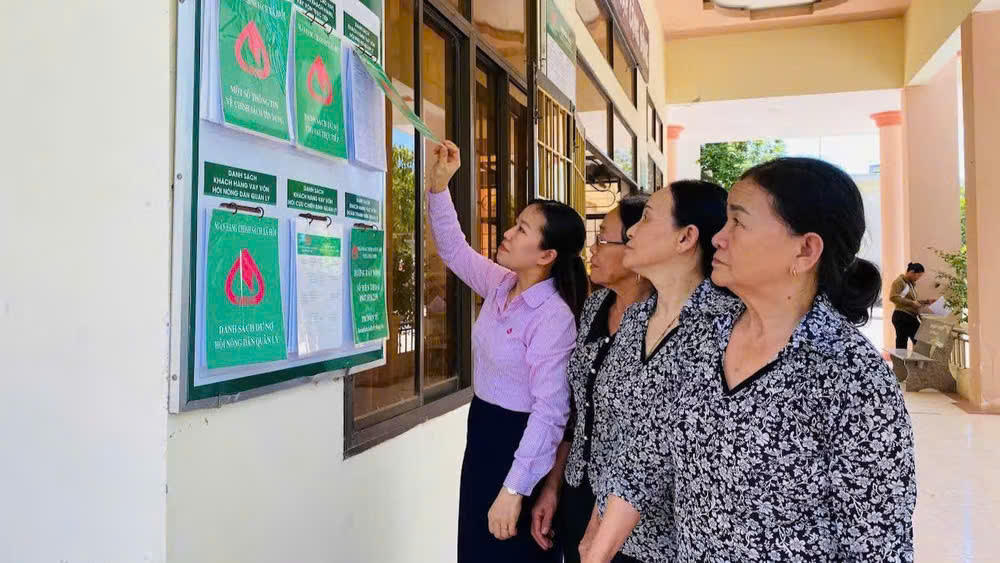 Bí thư chi bộ Đảng, Giám đốc NHCSXH Hoài Nhơn, Đặng Thị Hương (cô gái mặc áo hồng) luôn sâu sát chỉ đạo các hoạt động giao dịch của đơn vị.
