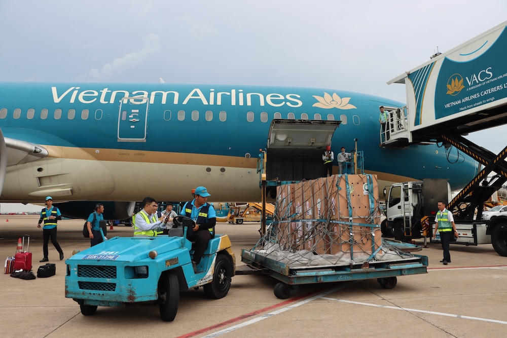 Đàn sếu được vận chuyển bằng đường hàng không đến Việt Nam (Ảnh:&nbsp;dongthap.gov.vn)