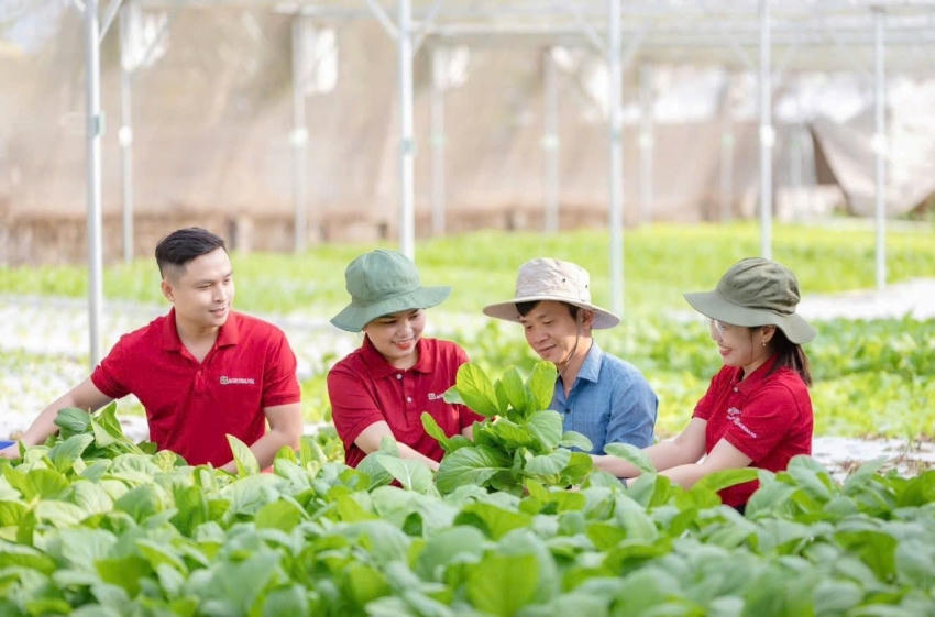 Agribank ưu tiên nguồn vốn phát triển nông nghiệp xanh, đồng thời coi tín dụng xanh là động lực quan trọng thúc đẩy chuyển đổi mô hình tăng trưởng trong nông nghiệp.