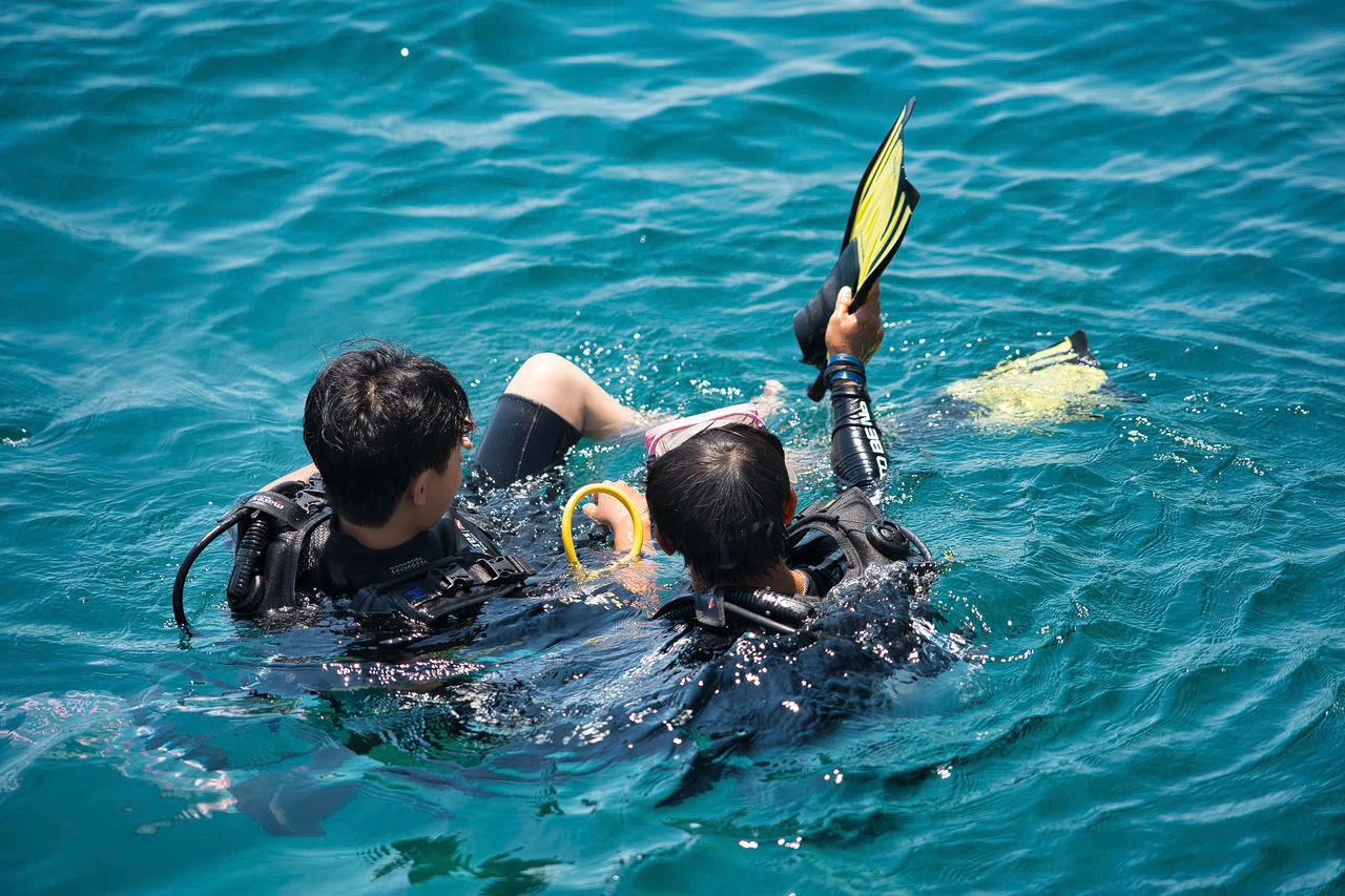 Du lịch xanh từ biển Nha Trang: Khi mỗi hành trình trải nghiệm góp phần tái tạo hệ sinh thái